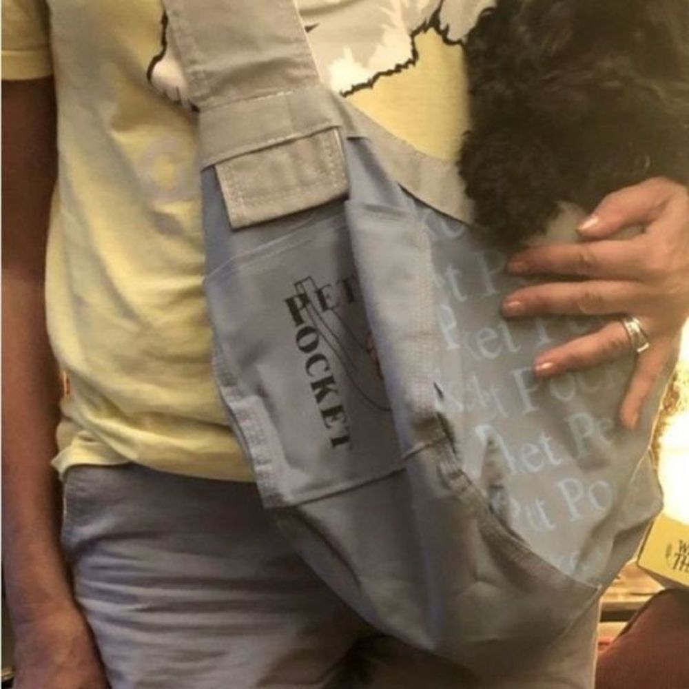 Pet carrier-NWOT. NEVER USED. Picture with the person and dog for example only.